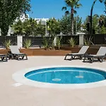 California サロウ